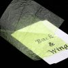 Sybai Fine Back Wing Foil - sy-256819-chartreuse