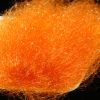 Sybai Saltwater Ghost Hair - sy-263246-orange