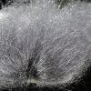 Sybai Saltwater Ghost Hair - sy-263296-gray