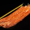 Sybai Magnum Sparkle - sy-762121-hot-orange