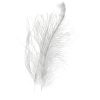 Hends CDC-Feathers - hecdc-25-101-nature-beige-grey