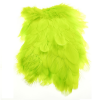 American Soft Hackle - 0102-06-yellow-fl-chartreuse
