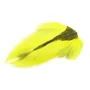 Doetail Ogon samicy jelenia - odoetail-137-fl-yellow