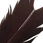 Kondor Sub. Condor Top Fly - tcs13-condor-cinnamon