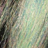 Mirage Volume Hair - pearl-uvr-sy-620101