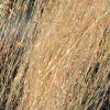 Mirage Volume Hair - tan-uvr-sy-620107
