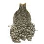Hen Neck 4b's Whiting Kura - grizzly-4bs-74801001