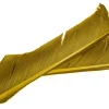 Turkey Biot Quill - tbqp-4-olive