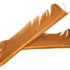 Turkey Biot Quill - tbqp-22-dark-tan