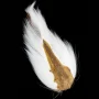 Doetail Ogon samicy jelenia - odoetail-136-fl-white