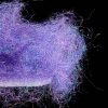 Fine Spectra Flash Dubbing - violet-uvr-sy-267529-fine-spectra