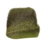 Sierść Sarny Sarna Deer - green-fd2907
