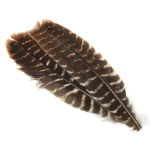 Pióra Indyka - Turkey Wing Muddler - turkey-wing-muddler-w-tqq199