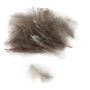 Premium CDC pióra - medium-gray-cdc04