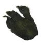 Kapka kury Hen Neck - gn33-20-medium-olive